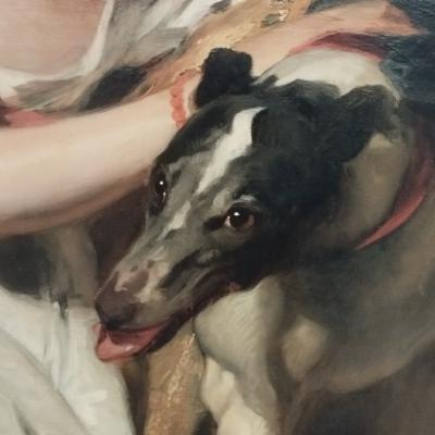 O Cão sem manga pra chupar