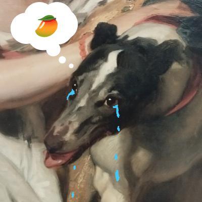 O Cão sem manga 💧