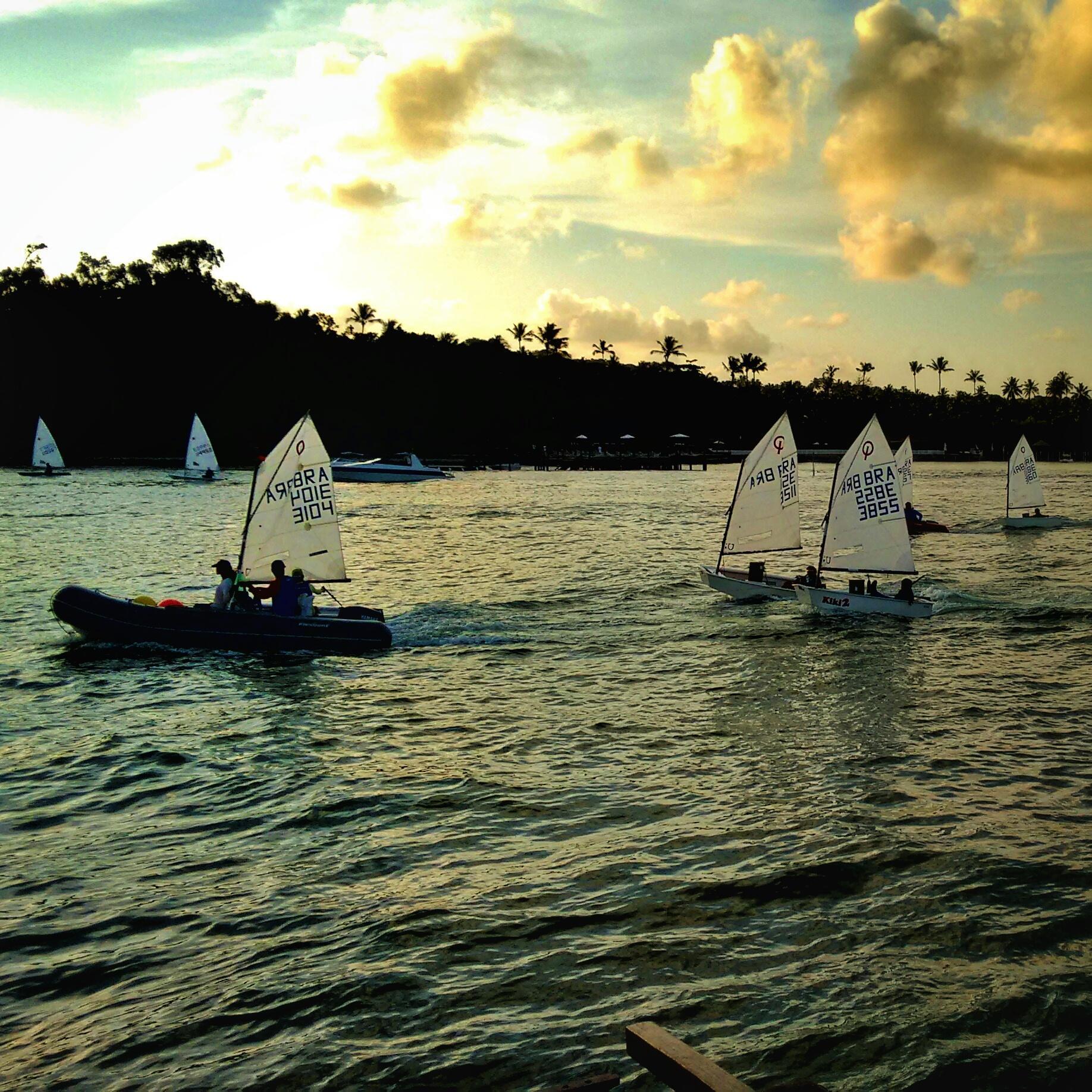 Um grupo de barcos à vela cortando o mar ao pôr do sol, com uma colina cheia de coqueiros ao fundo.