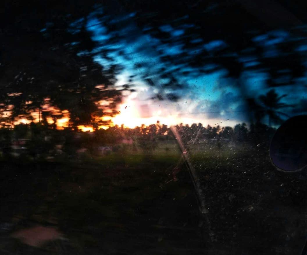 Imagem da mata sul pernambucana, capturada em movimento, com o pôr do sol ao fundo.